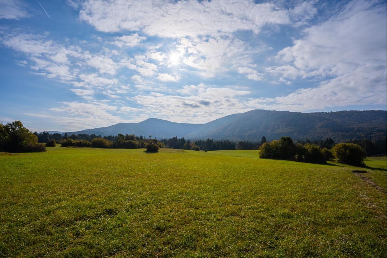 Notranjska Hisa - Traditional Country House, Close To The World Attraction Cerknica Lake Begunje pri Cerknici Ngoại thất bức ảnh
