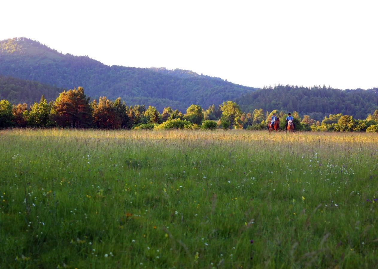 Notranjska Hisa - Traditional Country House, Close To The World Attraction Cerknica Lake Begunje pri Cerknici Ngoại thất bức ảnh