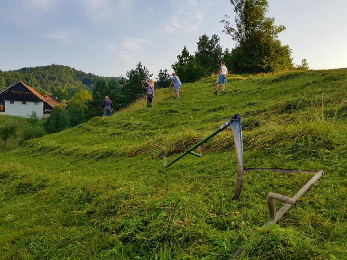 Notranjska Hisa - Traditional Country House, Close To The World Attraction Cerknica Lake Begunje pri Cerknici Ngoại thất bức ảnh
