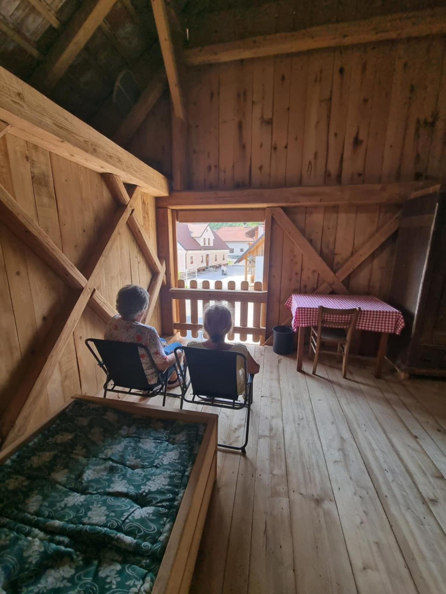 Notranjska Hisa - Traditional Country House, Close To The World Attraction Cerknica Lake Begunje pri Cerknici Ngoại thất bức ảnh